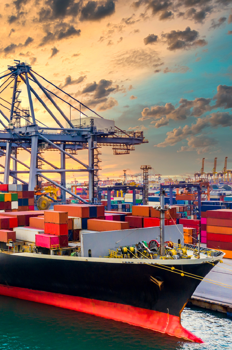 Brokers Import Export